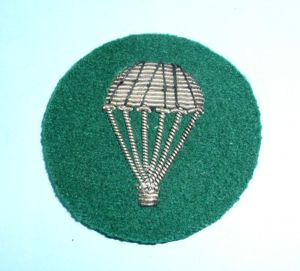 Parachutist (non-operational) Silver Bullion ' Light Bulb ' Proficiency Arm …