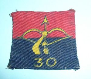 Cold War 30th (Northumbrian) Printed Cloth Anti-Aircraft (AA) Brigade Royal …