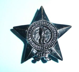 British India - WW2 Indian Observer Corps Blackened Cap Badge