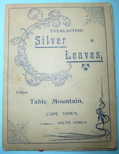 2nd Anglo-Boer War Silver Leaves Art Card - To My …