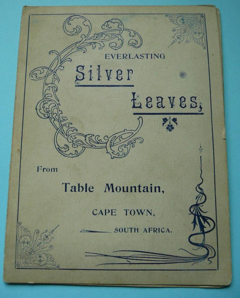 2nd Anglo-Boer War Silver Leaves Art Card - To My Dear Sister — image 2