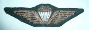 Danish Denmark Air Force Parachute Wing in Bullion