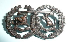 Argyll & Sutherland Highlanders (A&SH) Officers Die Cast OSD Bronze …