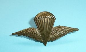 Pakistan Parachutist Gilding Metal Wings
