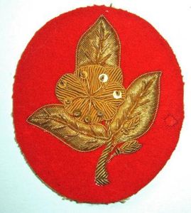 Worcestershire Hussars ( Yeomanry ) NCOs Full Dress Bullion Arm …