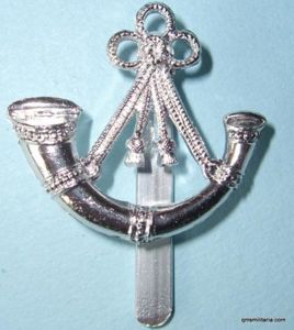 Oxs and Bucks Light Infantry Anodised Cap Badge - Gaunt …