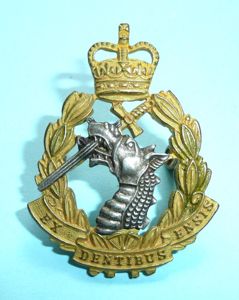 Royal Army Dental Corps Officer's Silver Plated and Gilt Cap …