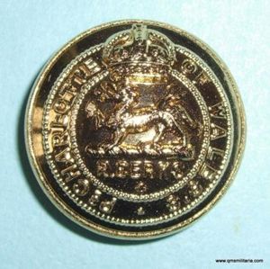 The Royal Berkshire Regiment ( Princess Charlotte of Wales 's …