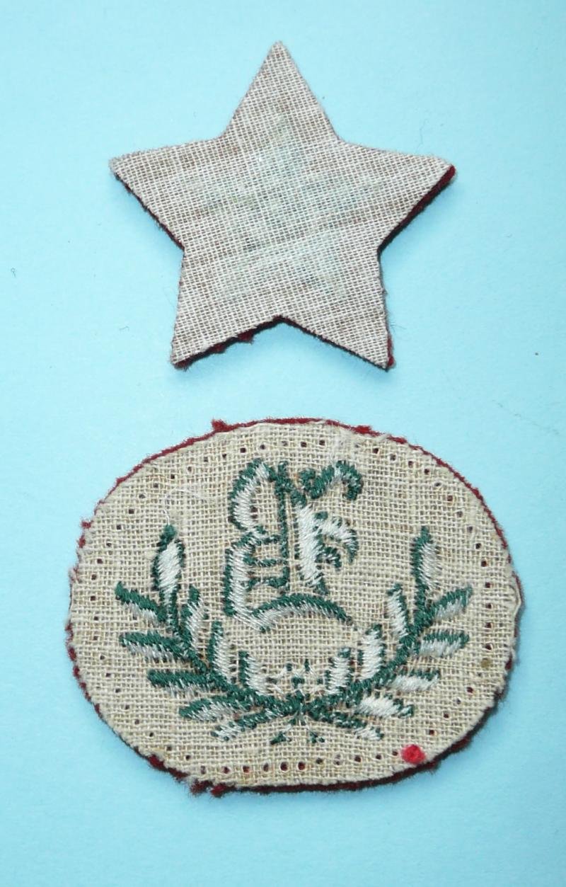 WRAC Women's Royal Army Corps Set of Embroidered Cloth Proficiency Arm Badges — image 2