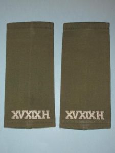 XVXIXH 15th / 19th Hussars Embroidered White on Khaki Epaulette …