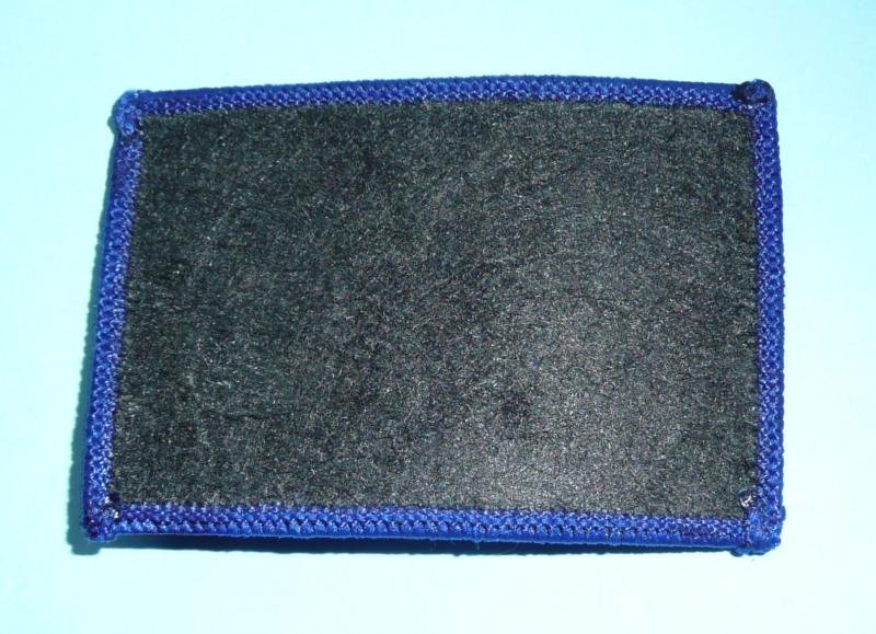 1st Queen's Dragoon Guards White on Blue TRF Tactical Flash — image 2