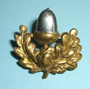The Cheshire Regiment Officers Silver and Gilt Collar Badge