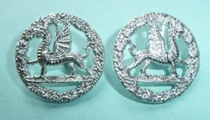 Royal Regiment of Wales AA Anodised Staybrite Facing Pair Collar …