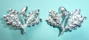 South Nottinghamshire Hussars (Yeomanry) AA Anodised Staybrite Facing Pair Collar …