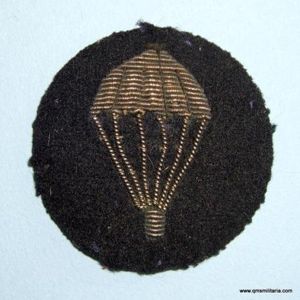 Parachutist (non-operational) Silver Bullion ' Light Bulb ' Proficiency Arm …