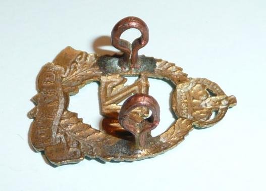 WW1 New Zealand Expeditionary Force Brass Collar Badge — image 4
