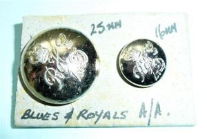 Blues & Royals Household Cavalry QEII Issue AA Staybrite Anodised …