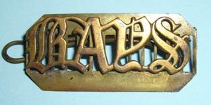 Large Pattern BAYS 2nd Dragoon Guards Brass Shoulder Title on …