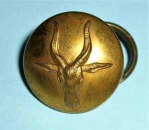 West African - Gold Coast Defence Force ( Volunteers ) …