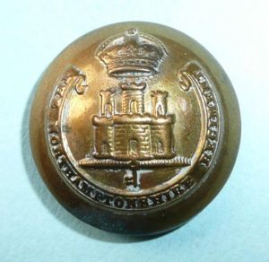 The Northamptonshire Regiment Officers Large Gilt Button ( 48th & …