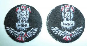 Indian Air Force (IAF) Match Pair of Embroidered Cloth Collar …