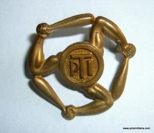 Physical Training Instructor ( PTI ) Royal Air Force ( …