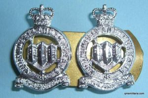Northumberland Hussars Anodised Pair of Collars with Backing Plates, QEII …
