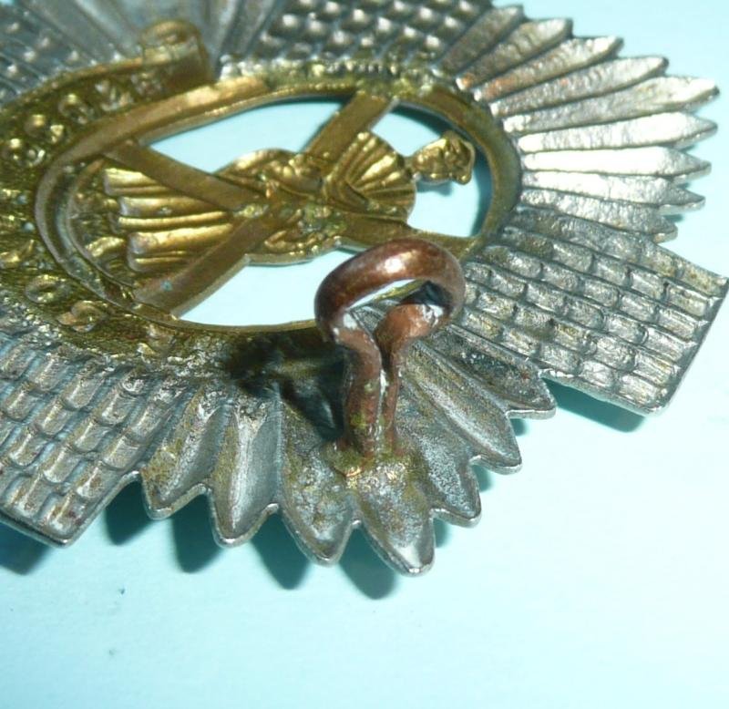 The Royal Scots (Lothian Regiment) (1st Foot) Other Ranks Bi-metal Cap Badge — image 3