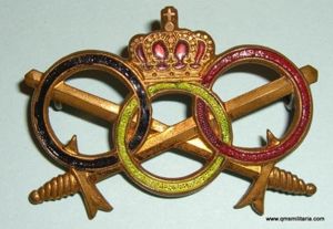 Belgian Army Sports Brevet ( Breast ) Badge national colours …