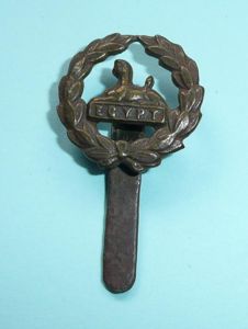 Gloucestershire Regiment Officers Bronze OSD Back Badge