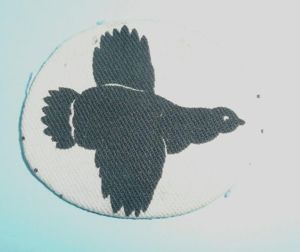 8th Corps Printed Cloth Formation Sign Flash Designation