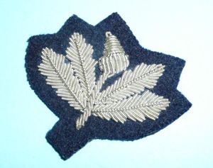 South Notinghamshire Hussars (Yeomanry) Officer's Bullion Cloth Beret / Collar …