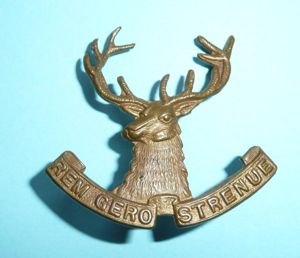 WW1 New Zealand - 10th (Nelson) Mounted Rifles Brass Cap …