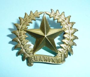 WW1 New Zealand - 17th (Ruahine) Infantry Regiment Brass Cap …
