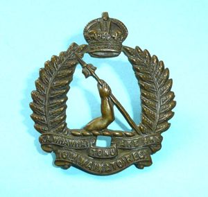 WW1 / WW2 New Zealand - 16th (Waikato) Infantry Regiment …