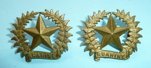 WW1 New Zealand - 17th (Ruahine) Infantry Regiment Pair of …