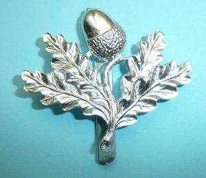 South Notts Hussars AA Anodised Aluminium Cap Badge - Gaunt …