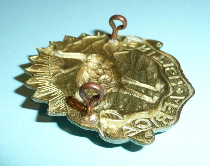 British African Squadron King's Colonials Imperial Yeomanry Slouch Hat Badge — image 3