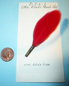 Duke of Cornwall's Light Infantry (DCLI) Red Feather Plume Badge …
