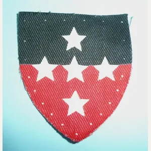 Southern Command (UK) Miscellaneous Units Printed Cloth Formation Sign Flash …