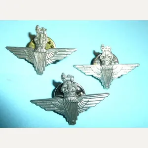 Parachute Regiment OCA Lapel Badge, QEII Crown