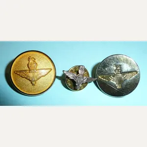 Parachute Regiment Buttons and very small OCA lapel badge