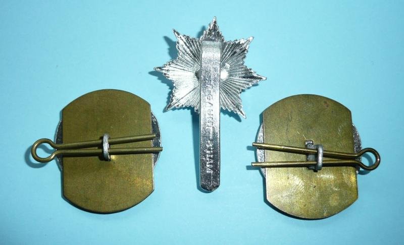 Royal Anglian Regiment AA Anodised Staybrite Cap Badge and Collar Set — image 2