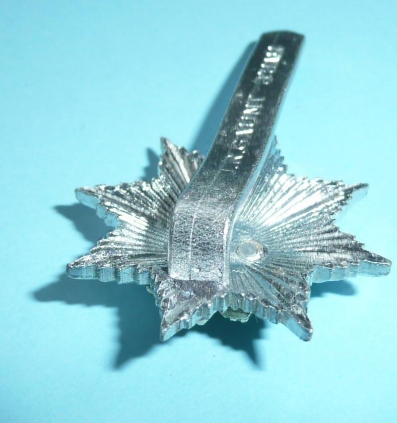 Royal Anglian Regiment AA Anodised Staybrite Cap Badge and Collar Set — image 4