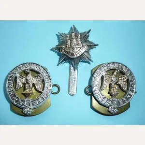 Royal Anglian Regiment AA Anodised Staybrite Cap Badge and Collar …