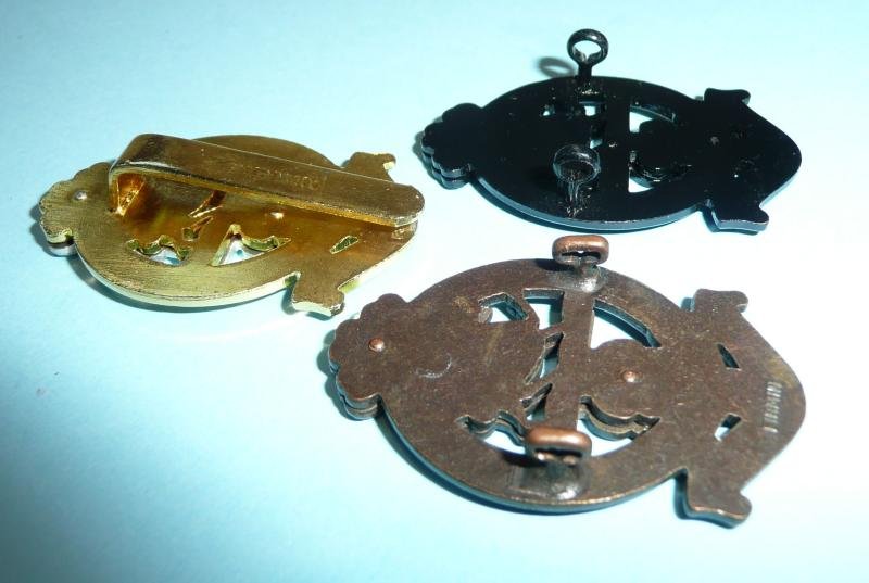 Princess of Wales Royal Regiment PWRR (Volunteers) 3 patterns of cap badges — image 3