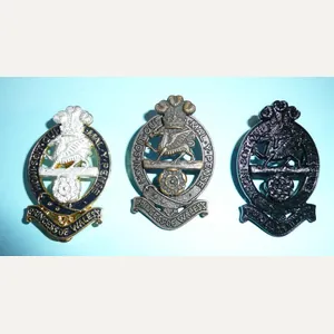 Princess of Wales Royal Regiment PWRR (Volunteers) 3 patterns of …