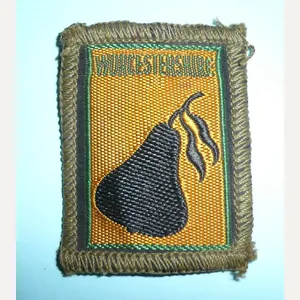 Worcestershire Scouts Cloth Arm Patch Flash Designation Badge