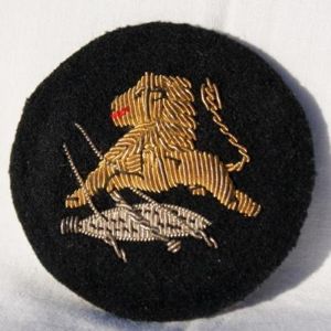 South African Police Officer's Female Cap Badge