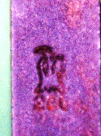 P14 - P17 Sear — image 2